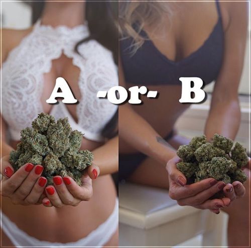 allineedismoney - weedporndaily - Which would you choose? 