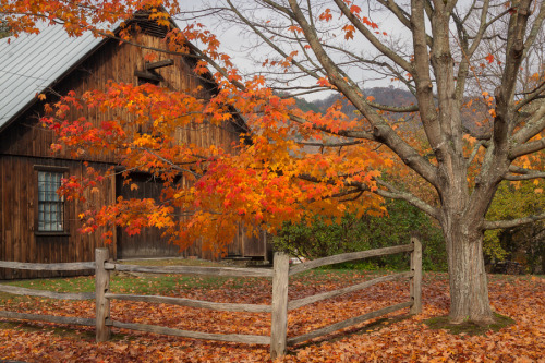 bookofoctober - Autumn Barn by Kent McFarland