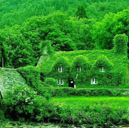 embertheunusual - sixpenceee - A 500-year-old teahouse in Wales....