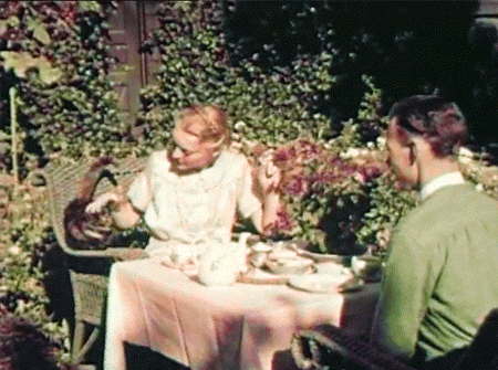 twostriptechnicolor:Tea time with the cat (1935).