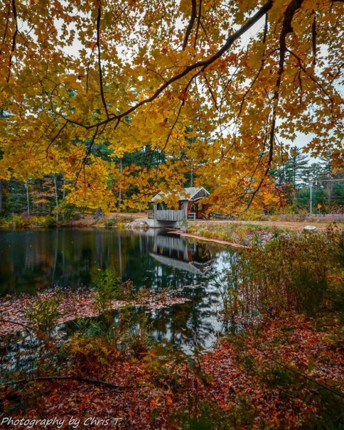 bookofoctober - Derry, NH. Photo by chris_nature_lover
