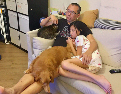 paper-mario-wiki - catsbeaversandducks - Father, Daughter And...