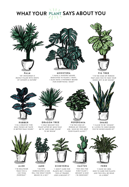 kellymalka - what does your plant say about YOU?! #ZOOM#ZOOM...