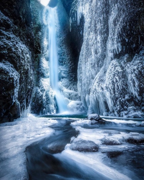 quiet-nymph:Photography by Austin Jackson