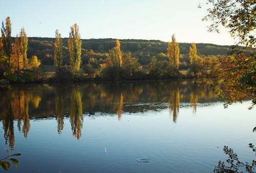 Reflection in Autumn - Lainzer Tiergarten | Vienna