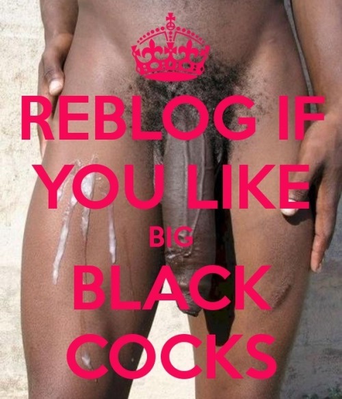 Fucking amazing big black cocks. I would suck all of them and...