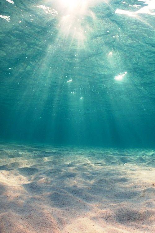 stunningpicture - Underwater