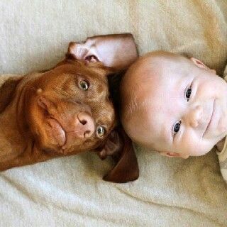 最高の笑顔の犬と赤ちゃん