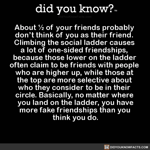 about-½-of-your-friends-probably-dont-think-of