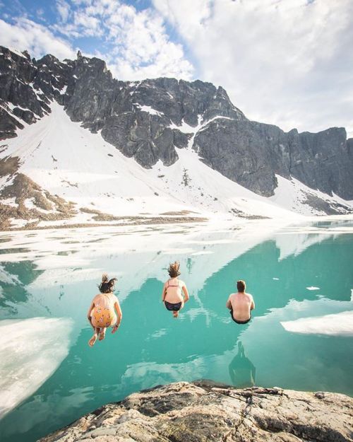 tentree - Would you jump in?! 