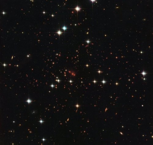 chibinotan - Massive Galaxy Cluster