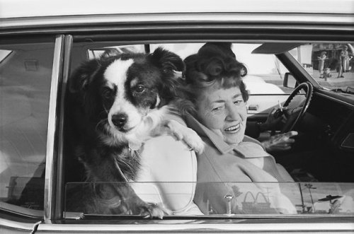 vintageeveryday:People in cars: Candid photos of drivers in...