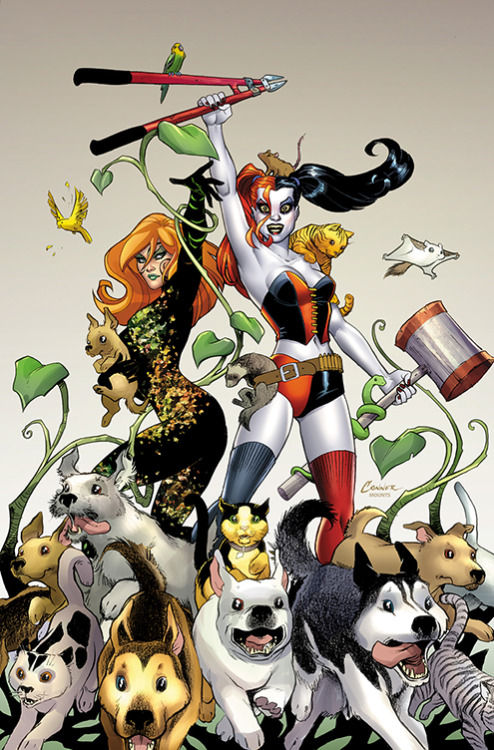 rcbot - Harley Quinn #2 (Second Printing Cover) - AMANDA CONNER