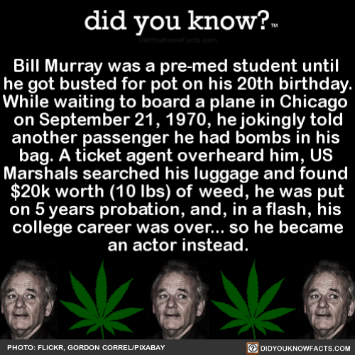 bill-murray-was-a-pre-med-student-until-he-got