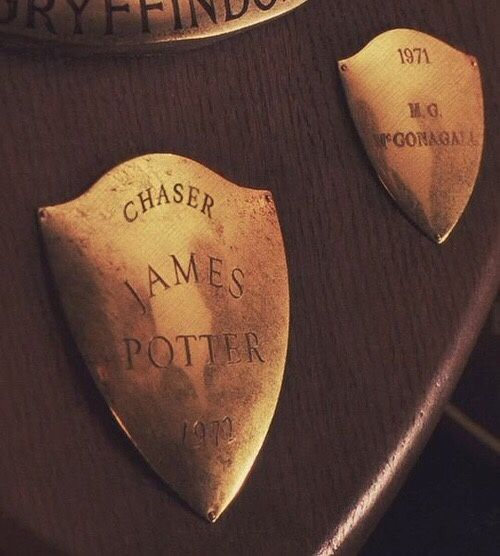 actinganimagus - James Potter(27 March 1960– 31 October...