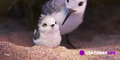 usatoday - Meet the tiniest star of the latest Pixar short,...