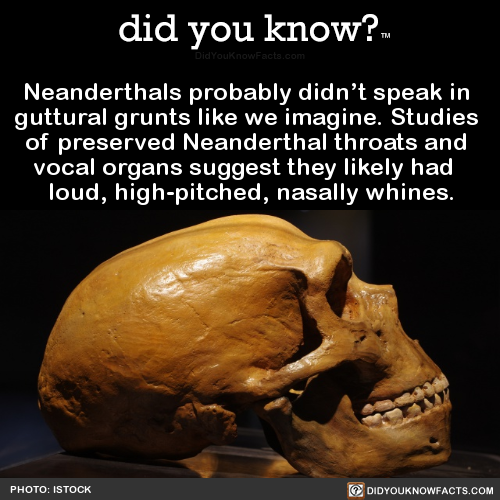 neanderthals-probably-didnt-speak-in-guttural