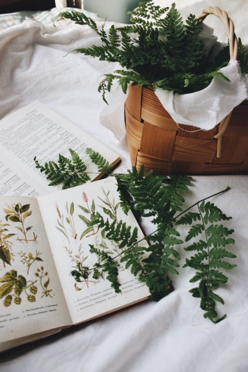 almostreading:Botany books