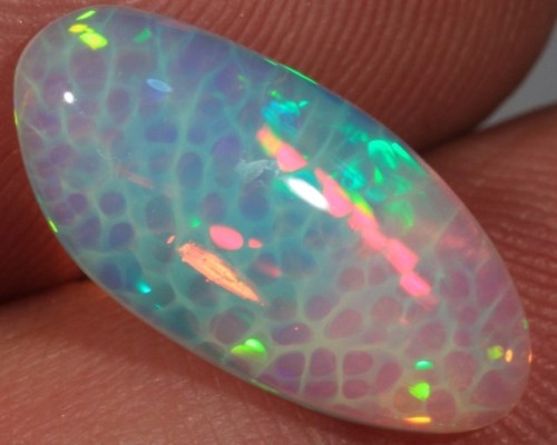 gorgeousgeology - Honeycomb Opal is made when growth becomes...