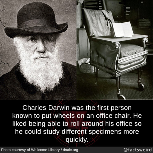 mindblowingfactz - Charles Darwin was the first person known to...