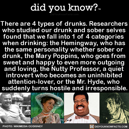 there-are-4-types-of-drunks-researchers-who