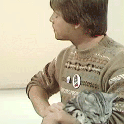 jedi-prince:to brighten your day, here is some young mark...