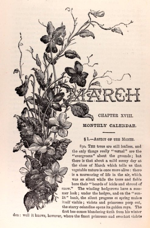 michaelmoonsbookshop:March from The Book of Garden Management...