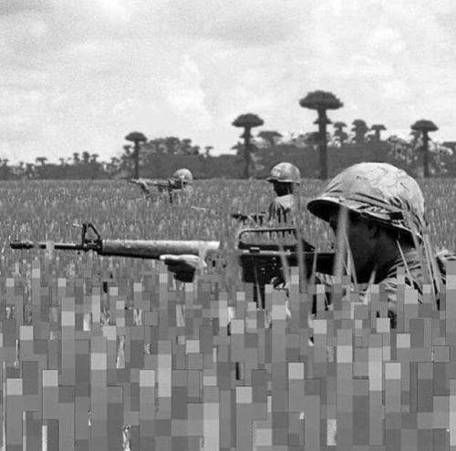 fakehistory - U.S. soldiers moving through the dense grass of...