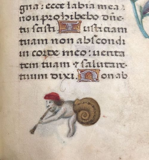 smithsonianlibraries - Caution - monsters in the margins! These...
