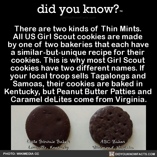 there-are-two-kinds-of-thin-mints-all-us-girl