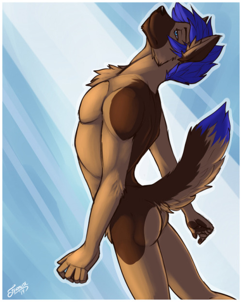 theyiffparadisebr - thesexualkiwi - Some male booties by Feralise...