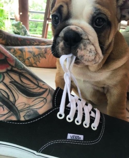 puppiesnporn78 - This face 
