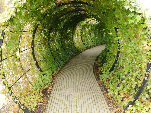 congenitaldisease - The Alnwick Poison Garden is a gated garden...