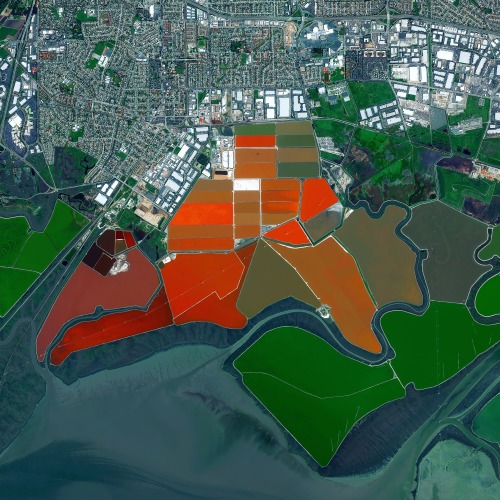 dailyoverview:Salt ponds are seen on San Francisco Bay in...