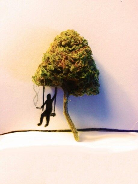 stonerpros:a plant that has caused 0 deaths can land you life...