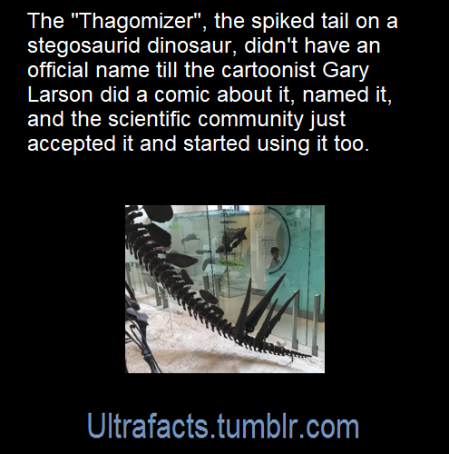 lezzyharpy - beetle-guy - ultrafacts - Source - [x]Click HERE for...