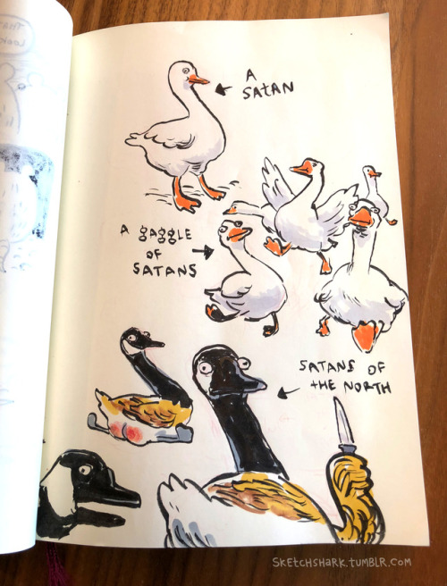 sketchshark:I drew a series of graceful animals recently. Here...