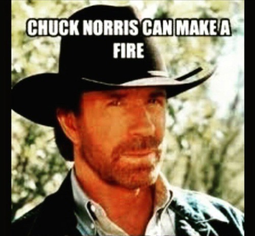 therealkyebarnfield - about-7-bees - about-7-bees - i discovered that you can make chuck norris memes...