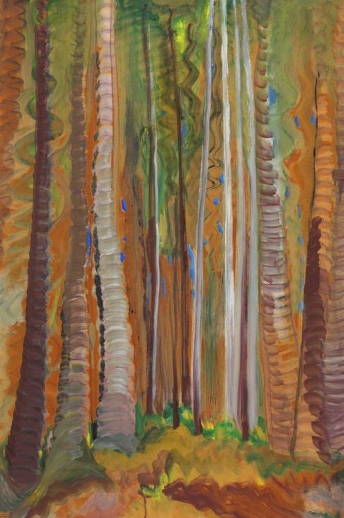 pintoras - Emily Carr (Canadian, 1871 - 1945) - Forest (Tree...