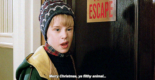 Image result for home alone 2 gif