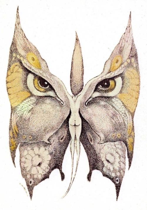talesfromweirdland - Donna farfalla civetta (Woman, Butterfly,...