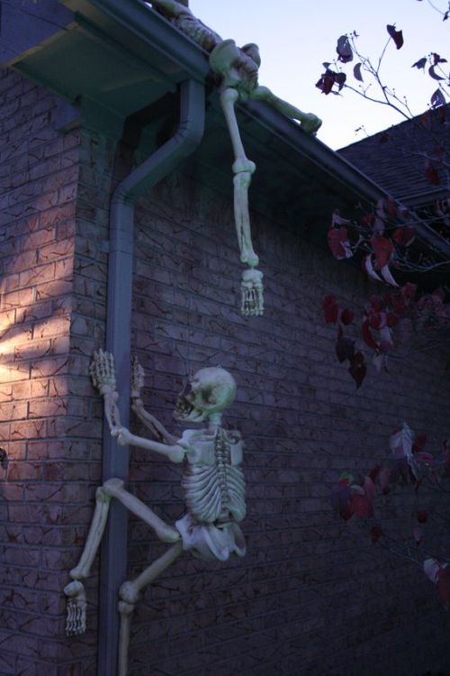 sixpenceee - Climbing skeletons make one creepy halloween...