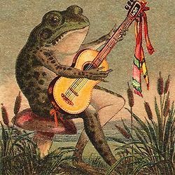 weirdchristmas - Sometimes you just need a frog.