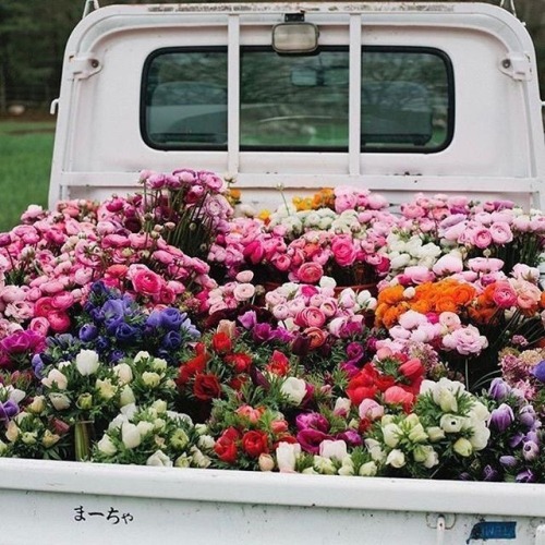 twixxtedwife420:Because perfectly arranged colors and flowers...