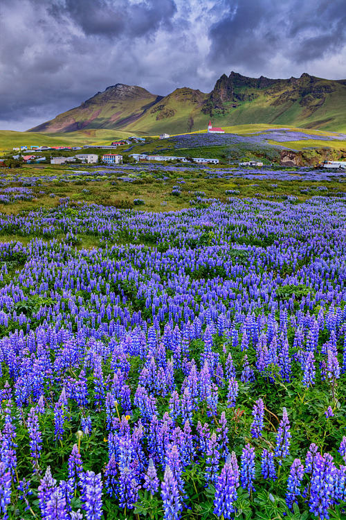 allthingseurope - Vik, Iceland (by Aubrey Stoll)spring,...
