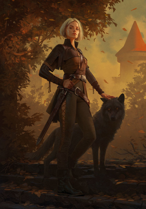 thecollectibles - GWENT Art Contest illustrations by selected...