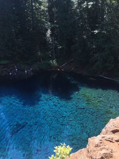 crystallucid - Tamolitch Blue Pool, in Oregon. ✨