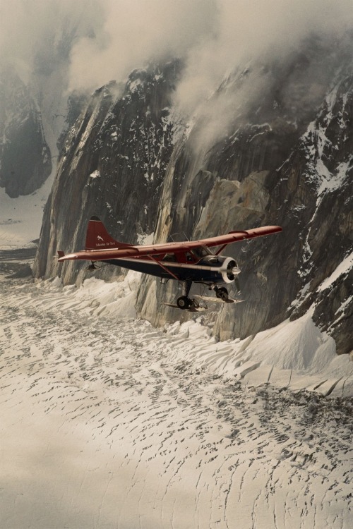 almaraye:Falley flying above a glacier.Source - Alaskan Bush...