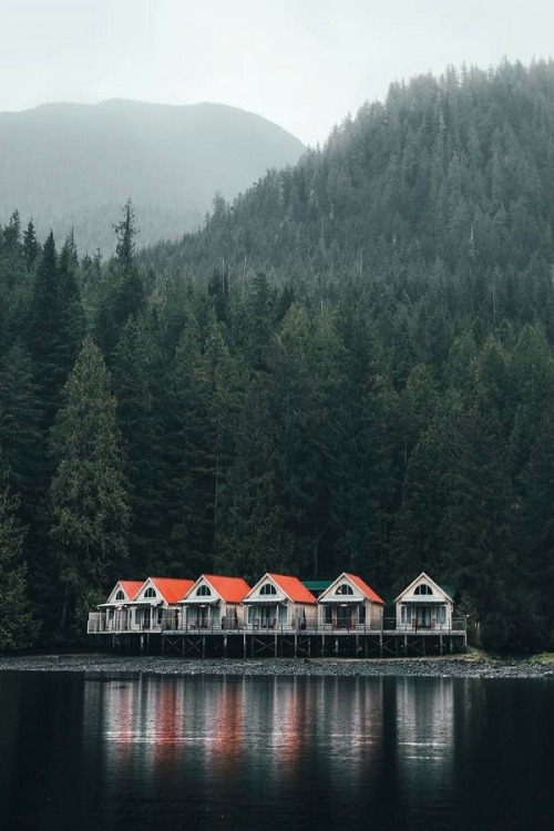 alecsgrg - Deep in the fjords of British Columbia | ( by Dylan...