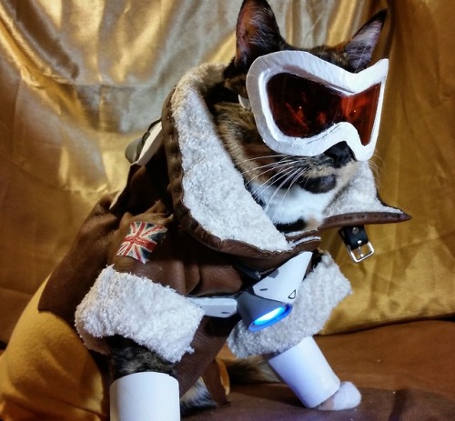 cat-cosplay:Just imagine how much more cute Tracers “Blink”...